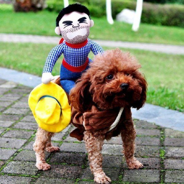 dog cowboy