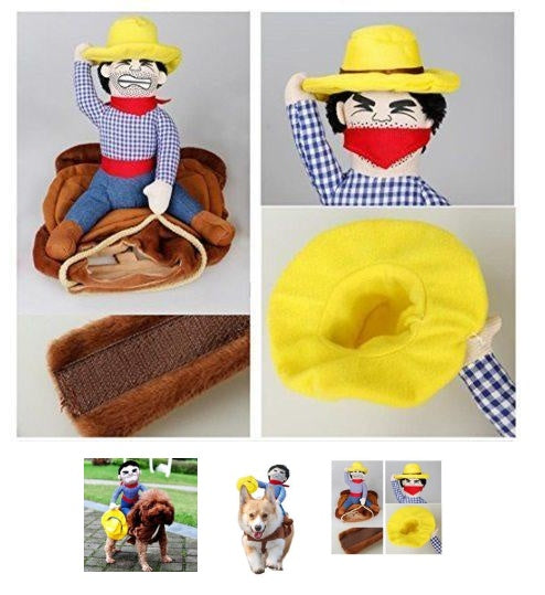 dog cowboy