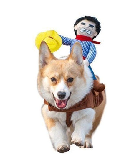 dog cowboy