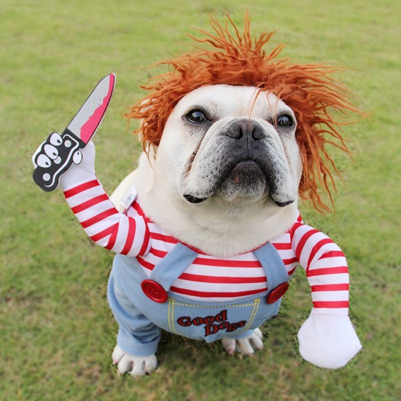 MURDERER DOG