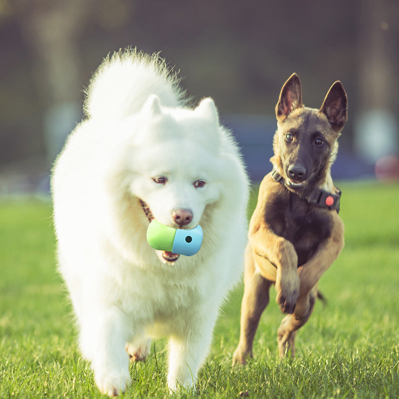 Palla Giocattolo 2 in 1 per Cani – Gioco Interattivo e Dispenser di Snack