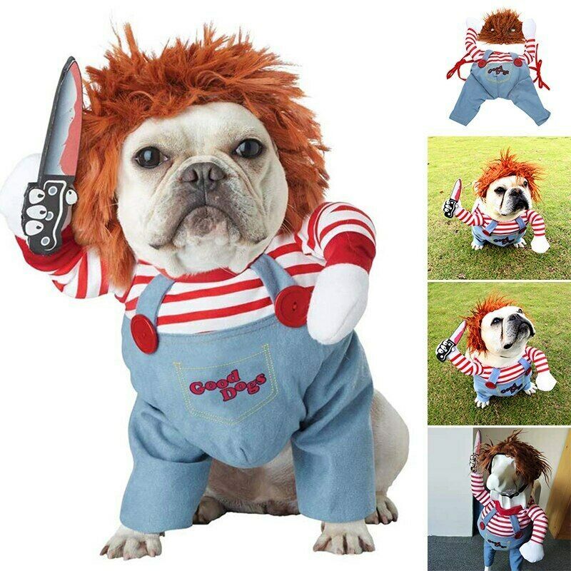 MURDERER DOG