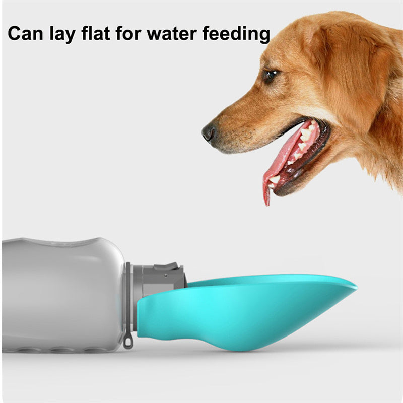 Borraccia per cani portatile